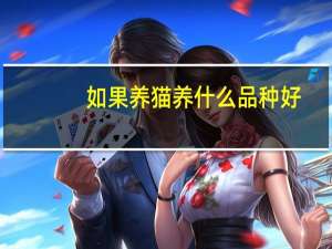 如果养猫养什么品种好
