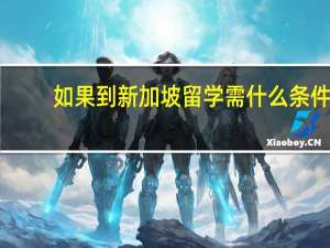 如果到新加坡留学需什么条件