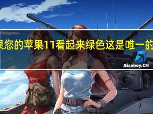 如果您的苹果11看起来绿色 这是唯一的解决方案
