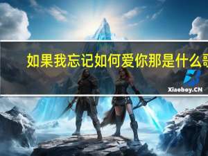 如果我忘记如何爱你那是什么歌？