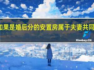 如果是婚后分的安置房属于夫妻共同财产吗