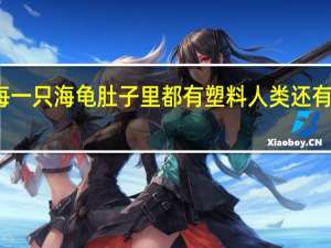 如果每一只海龟肚子里都有塑料 人类还有自然阳光么