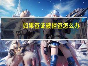 如果签证被拒签怎么办