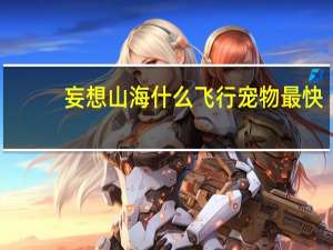 妄想山海什么飞行宠物最快