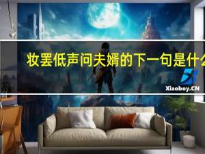 妆罢低声问夫婿的下一句是什么