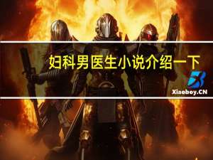 妇科男医生小说介绍一下