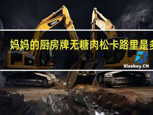 妈妈的厨房 牌无糖肉松卡路里是多少