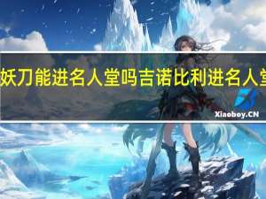 妖刀能进名人堂吗 吉诺比利进名人堂了吗