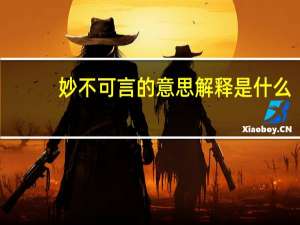 妙不可言的意思解释是什么（妙不可言的意思）