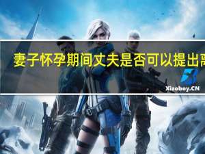 妻子怀孕期间丈夫是否可以提出离婚