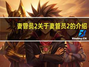 妻管员2 关于妻管员2的介绍
