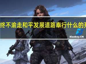 始终不渝走和平发展道路奉行什么的开放战略（始终不渝）