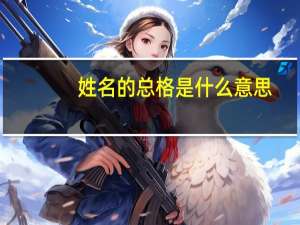 姓名的总格是什么意思