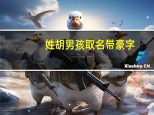 姓胡男孩取名带豪字（姓胡男孩取名）