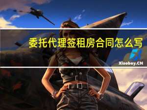 委托代理签租房合同怎么写