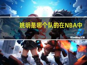 姚明是哪个队的在NBA中