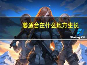 姜适合在什么地方生长
