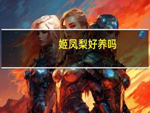 姬凤梨好养吗
