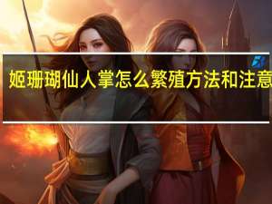 姬珊瑚仙人掌怎么繁殖方法和注意事项