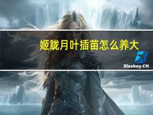 姬胧月叶插苗怎么养大（姬胧月）