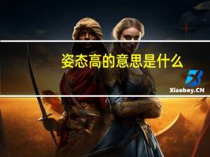 姿态高的意思是什么（高姿态什么意思）