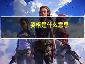 姿格是什么意思