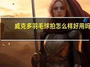 威克多羽毛球拍怎么样好用吗（威克多羽毛球拍怎么样）
