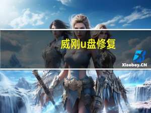 威刚u盘修复（威刚u盘怎么样）