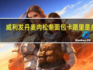 威利发 丹麦肉松条面包卡路里是多少