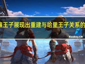 威廉王子展现出重建与哈里王子关系的积极姿态
