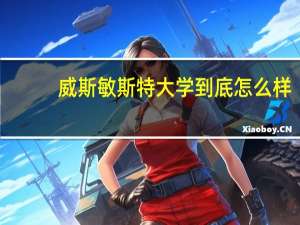 威斯敏斯特大学到底怎么样