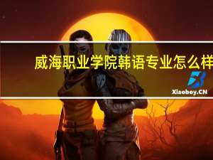 威海职业学院韩语专业怎么样