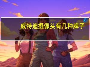 威特迪摄像头有几种牌子