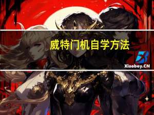 威特门机自学方法