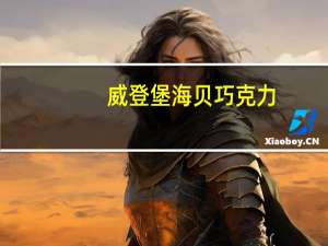 威登堡 海贝巧克力(铁盒装)卡路里是多少