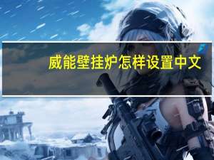 威能壁挂炉怎样设置中文