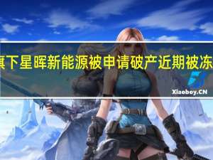 威马旗下星晖新能源被申请破产 近期被冻结60亿股权