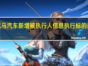 威马汽车新增被执行人信息执行标的逾5亿元