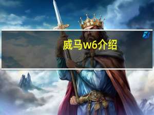 威马w6介绍（威马W6简介）