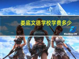 娄底文德学校学费多少