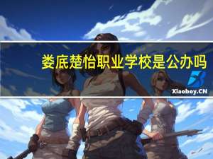 娄底楚怡职业学校是公办吗