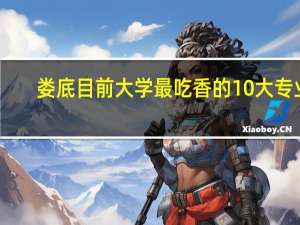 娄底目前大学最吃香的10大专业