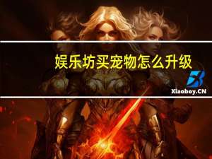 娱乐坊买宠物怎么升级
