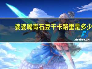 婆婆嘴 青石豆干卡路里是多少