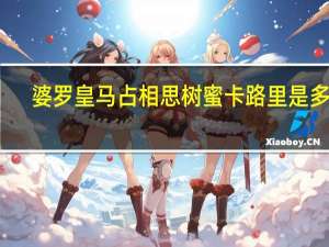 婆罗皇 马占相思树蜜卡路里是多少