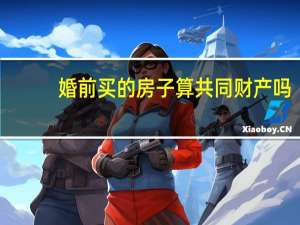 婚前买的房子算共同财产吗