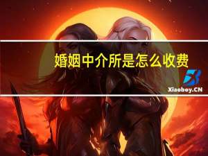 婚姻中介所是怎么收费