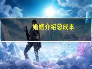 婚姻介绍总成本