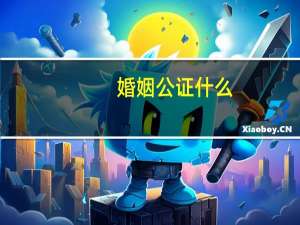 婚姻公证什么