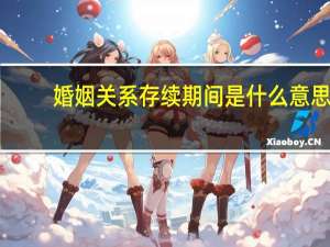 婚姻关系存续期间是什么意思